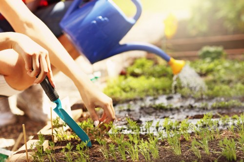 Professional garden clearance services in Islington