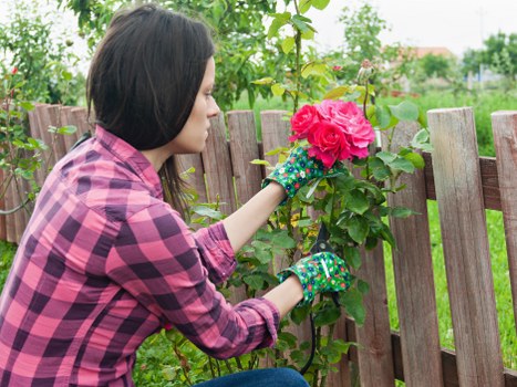 Professional landscapers working on a garden