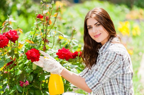 Summer garden pest control