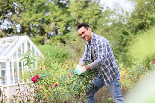 Seasonal lawn care activities in Islington