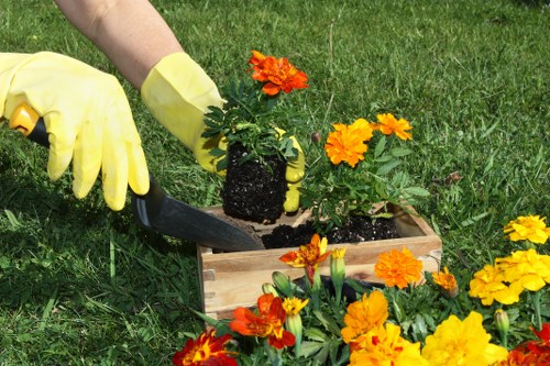 Expert choosing lawn mowing services in Islington
