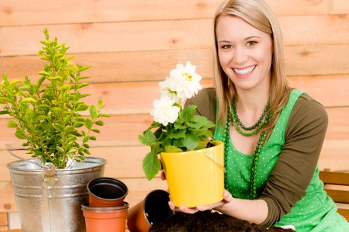 Expert deck design and construction