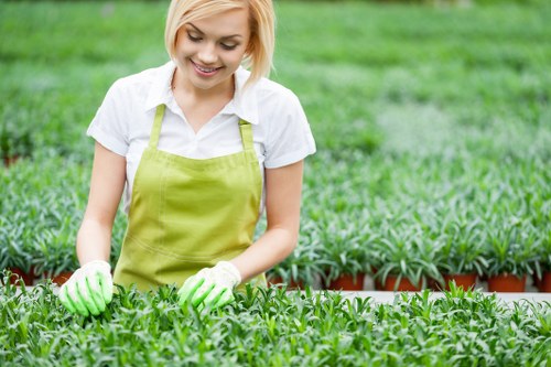 Eco-friendly lawn mowing practices in Islington