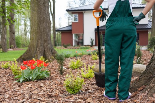 Eco-friendly garden clearance practices