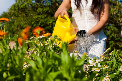 Garden maintenance tools and services